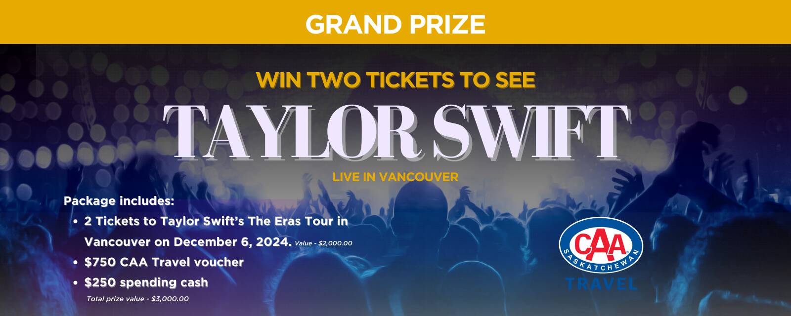 Taylor Swift Concert